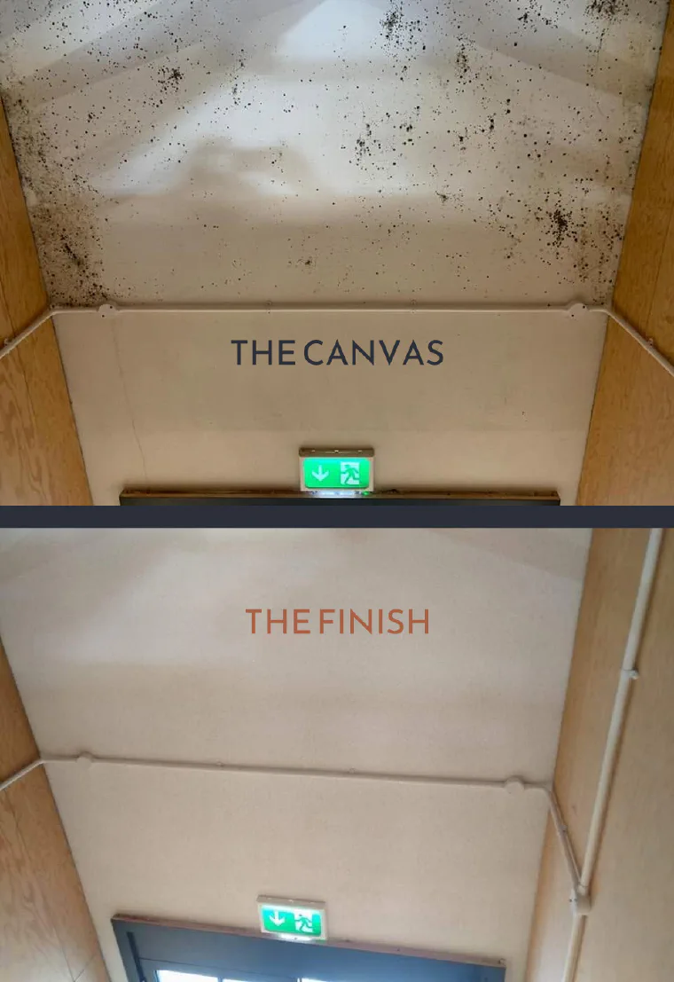 A lobby ceiling black with mould before the work, and the same ceiling clean and sound after it