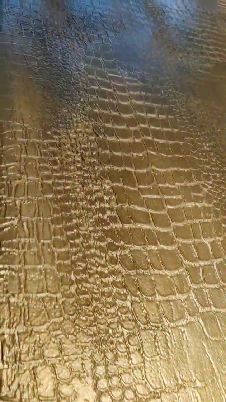 Macro of the crocodile print, small scales along one edge running into larger plates