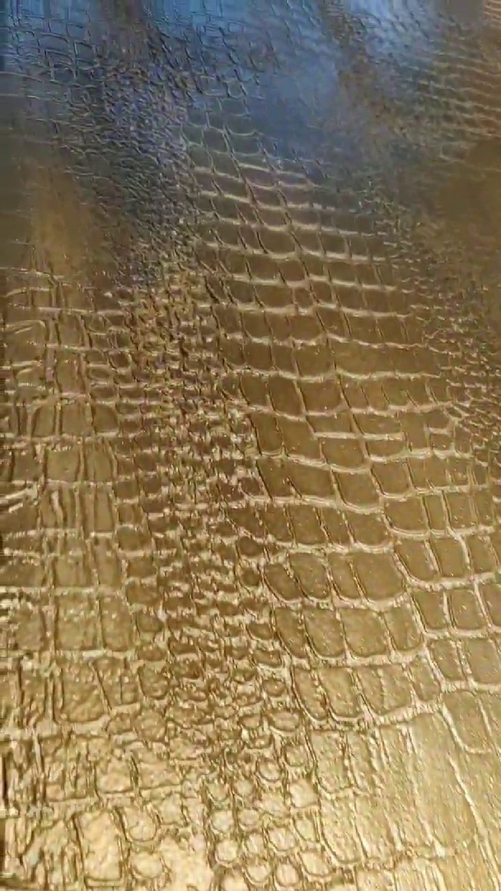 Close up of the crocodile print scales in gold and bronze