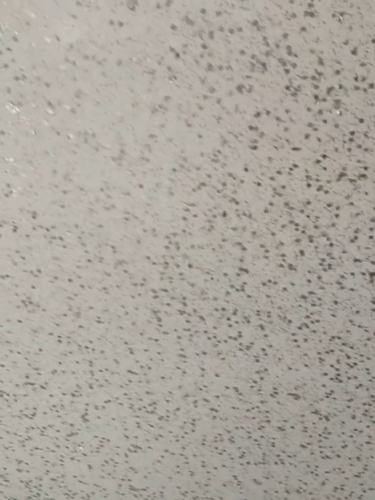 The white and silver glitter ceiling finish up close