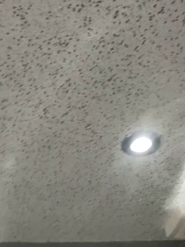 The ceiling in white and silver glitter blends with a downlight set into it