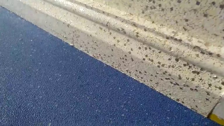 The skirting board coated in the same finish above the blue floor