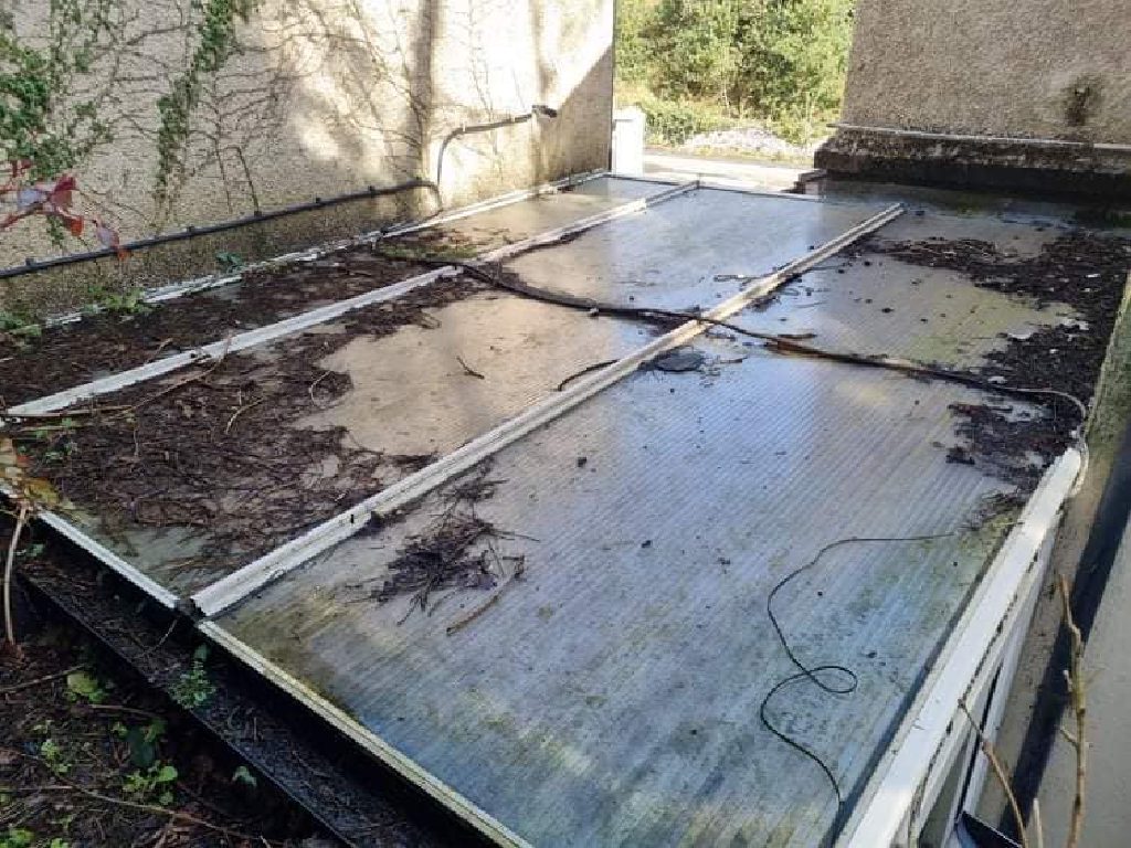 The old flat glazed roof before the work, covered in moss, leaf litter and dead twigs