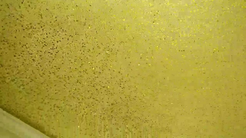The white ceiling covered in gold flakes