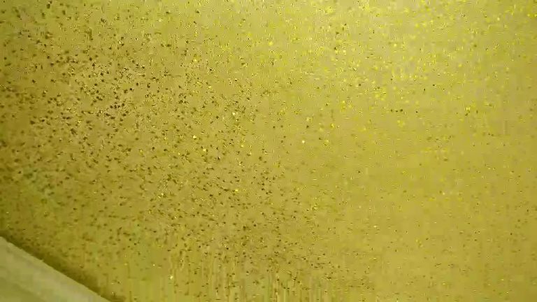 The white ceiling densely covered in gold flakes