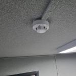 The cork texture close up on the ceiling, with the smoke detector and cable run coated over