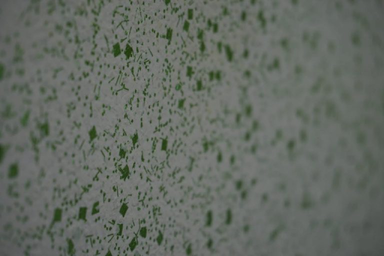 Macro detail of green flakes on the white wall