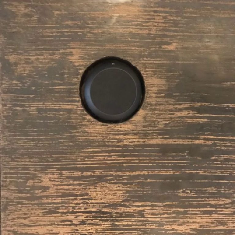 A speaker inset flush into the finish