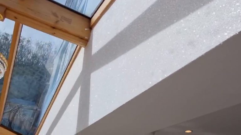 The glazed roof and oak beams meeting the glitter wall, trees showing through the glass