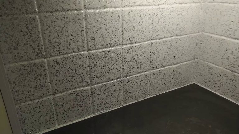 The glitter flake sitting over the original tiles
