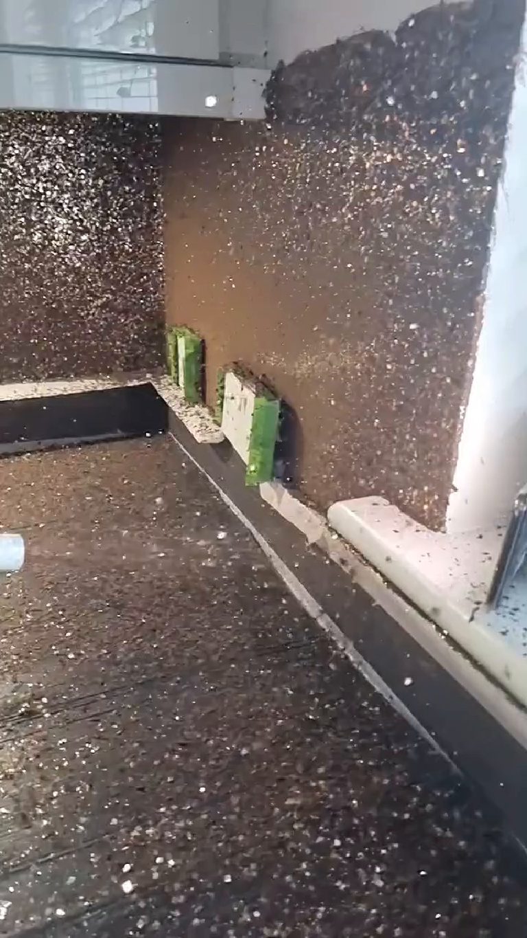 The flake building up across the panel with the sockets taped off in green