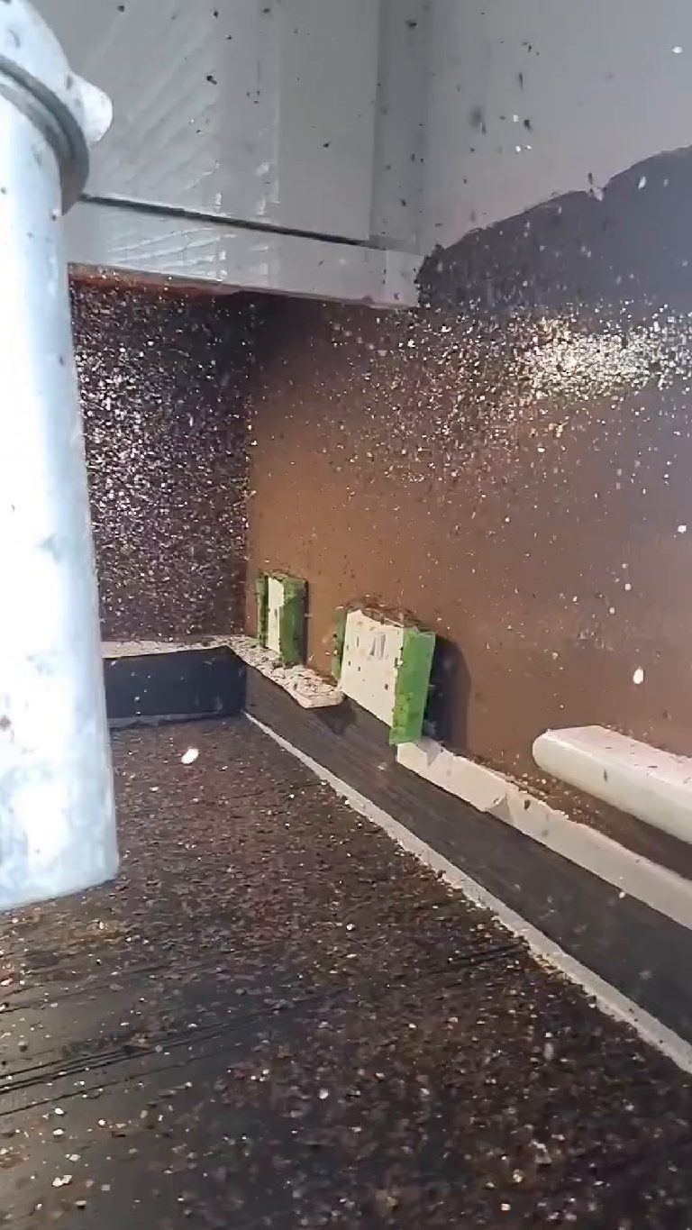 Copper and gold flake in mid-air as it is thrown at the base coat