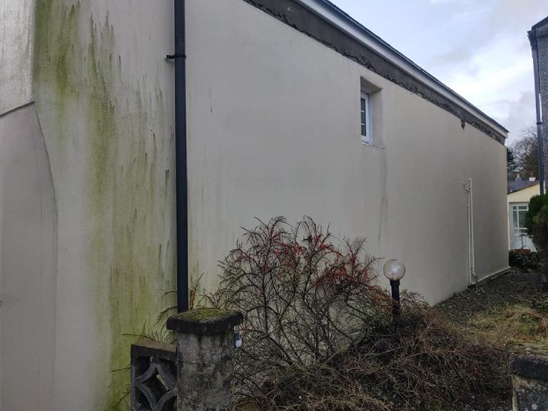 The side wall before the work, green algae running down it from the eaves