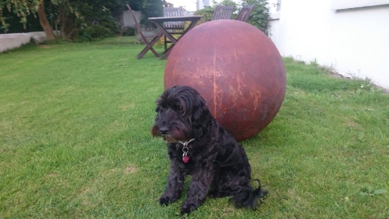 The family dog sitting proudly in front of the rusted sphere