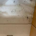 The same ceiling before, black with mould