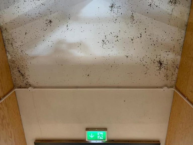 Black mould across the lobby ceiling above the exit sign