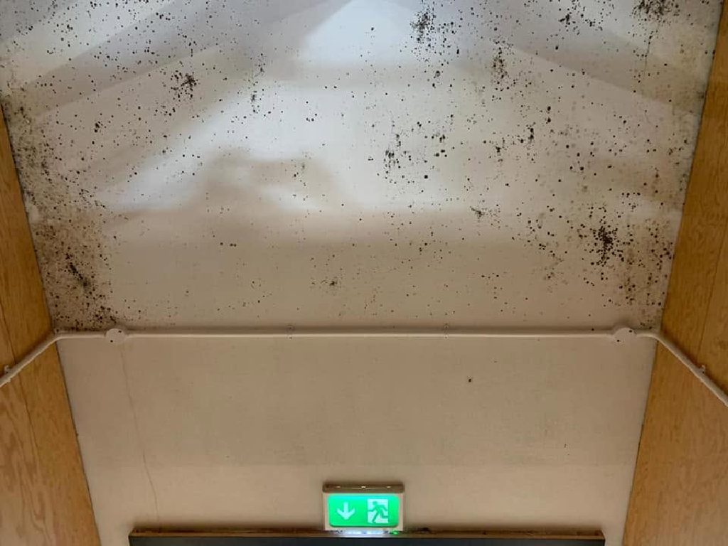 The same ceiling before, black with mould
