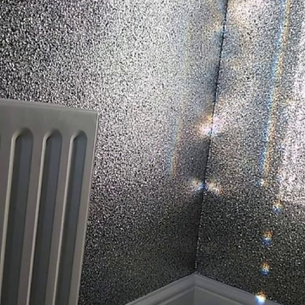 The silver glitter sparkling in the corner above the radiator